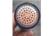 行业首款高层建筑专用防火电线问世 金年会电缆领跑